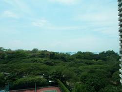 Costa Del Sol (D16), Condominium #126496672